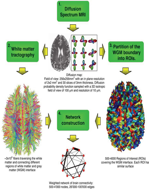Mapping Human Whole-Brain Structural Networks with Diffusion MRI