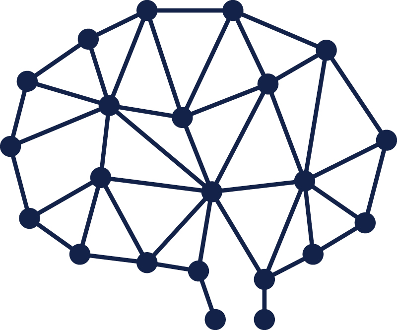 blue brain network paths